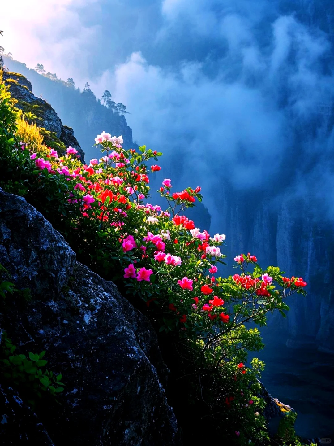 这个地方真的美到窒息❗️❗️❗️