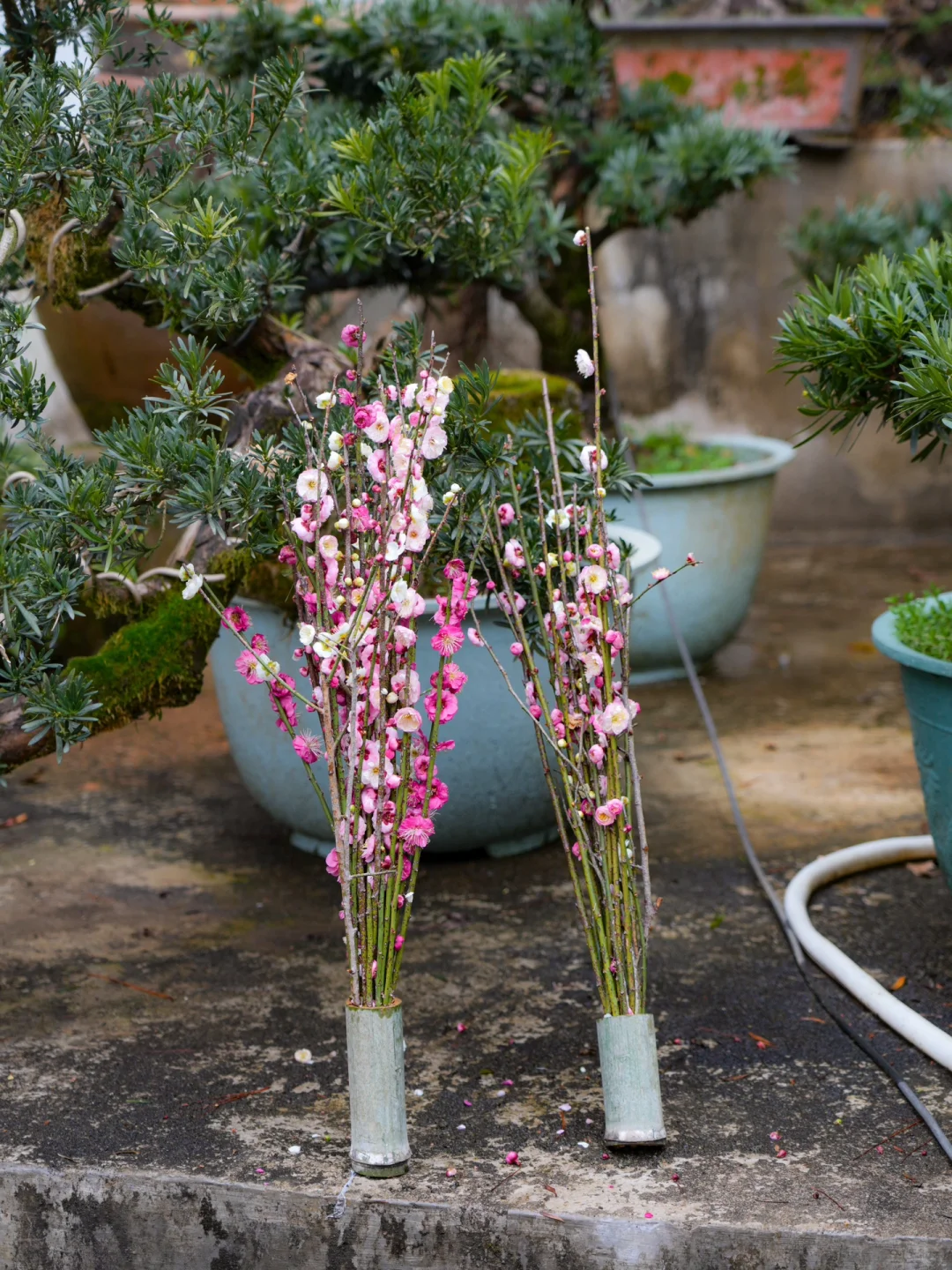 原来陶渊明笔下的《桃花源记》是真实存在的！！