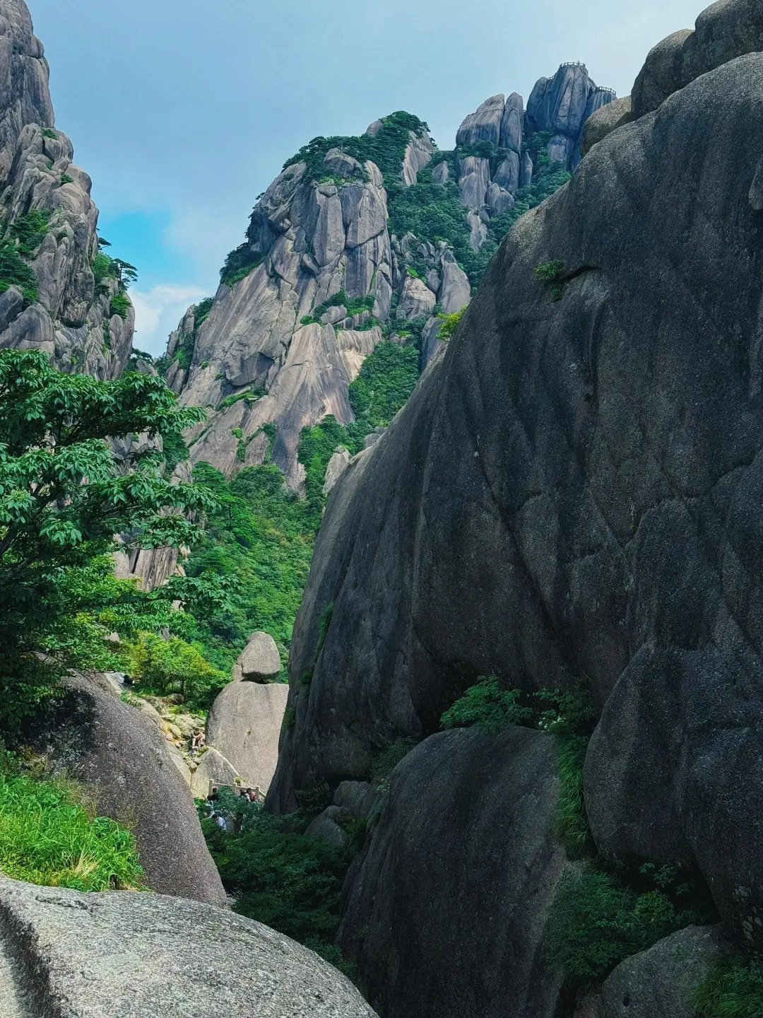 🎉刚从黄山回来,避雷秘籍大公开👇