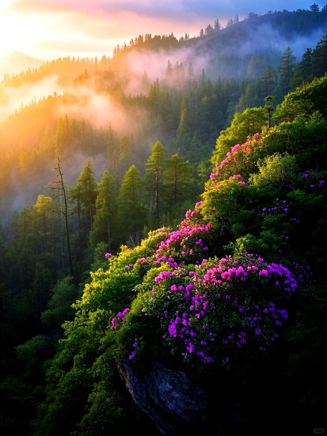 这个地方真的美到窒息❗️❗️❗️