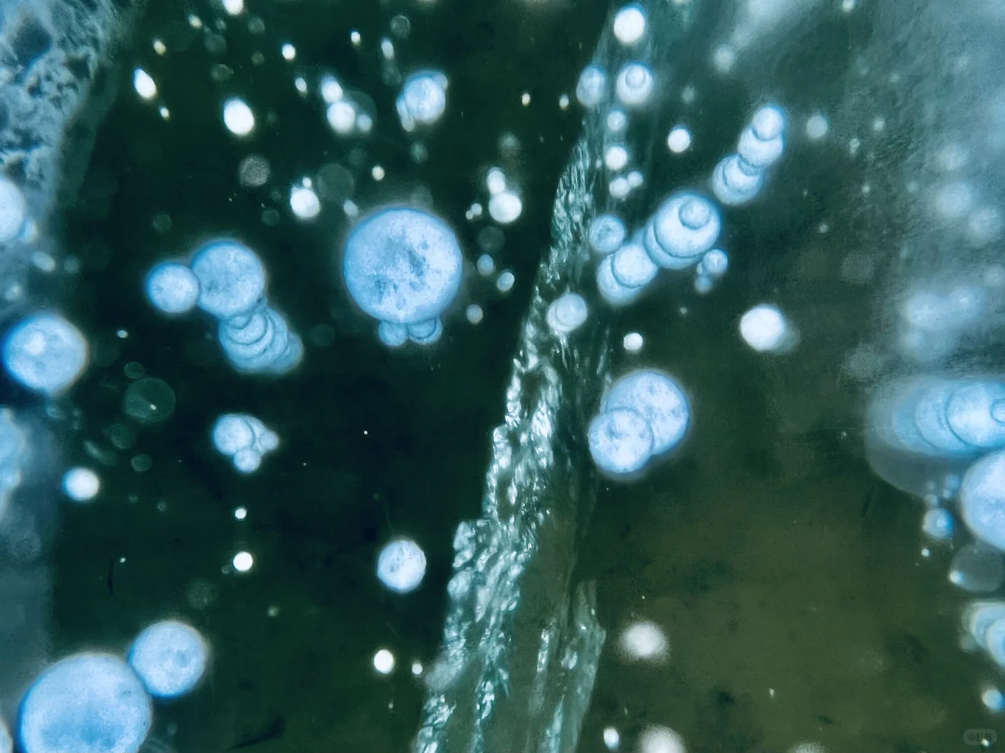 赛里木湖“蓝冰之约”