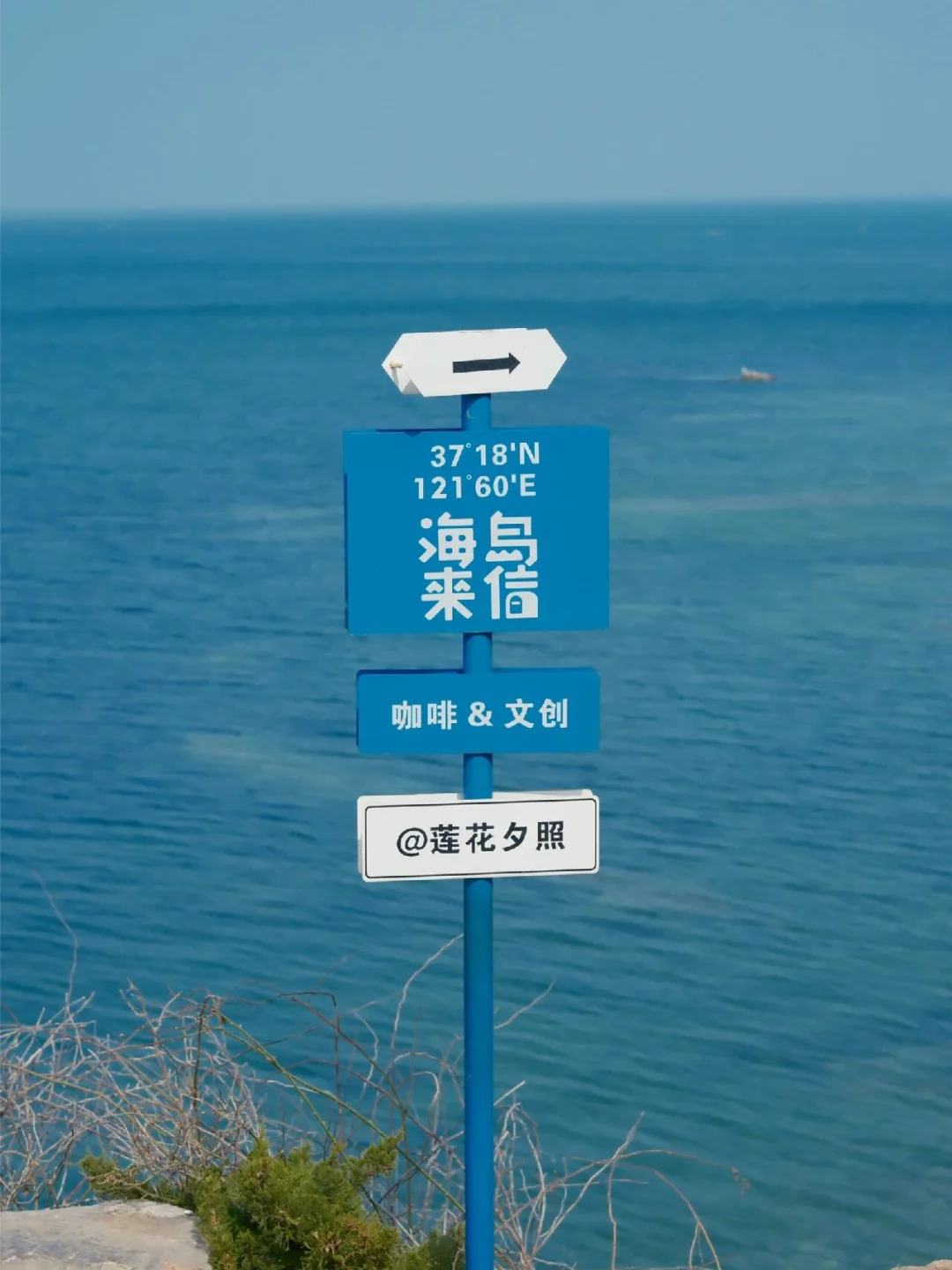 🌊 烟台养马岛 | 4月份一定要来！！！