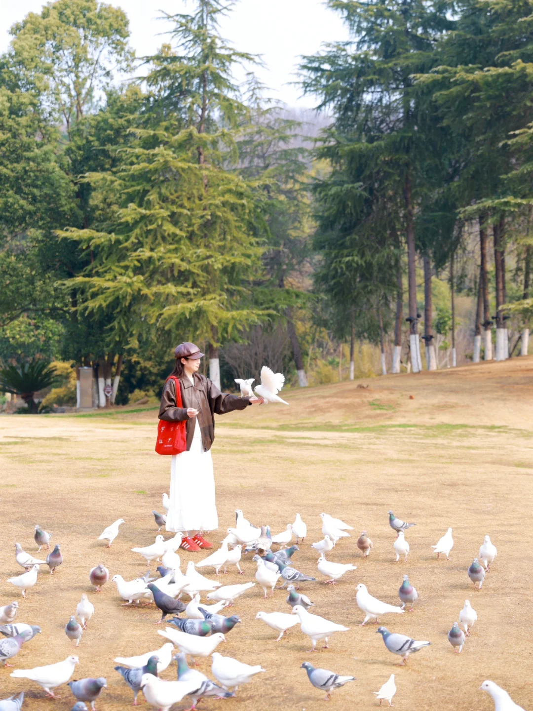 别怀疑！这些真的是武汉！一日游徒步路线㊙️