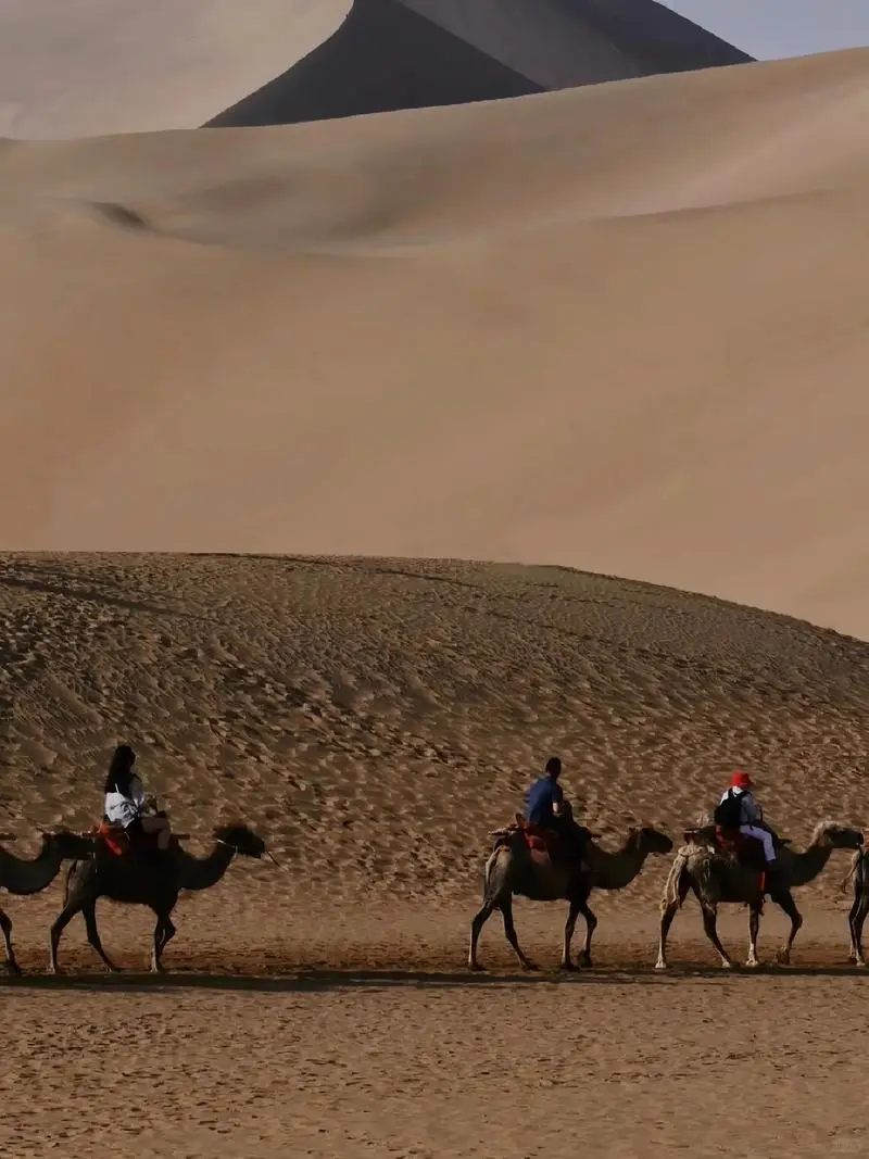 🌟敦煌｜穿越千年的丝路秘境必打卡🌟