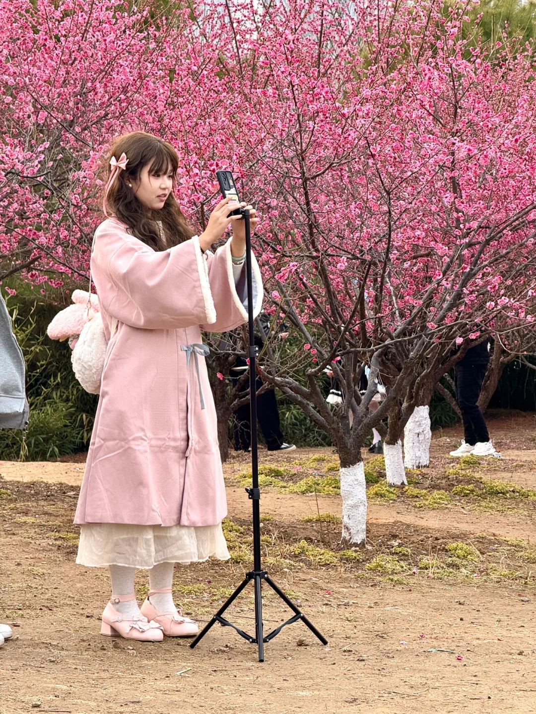 今天西流湖打卡游玩的人太多了，人山人海！