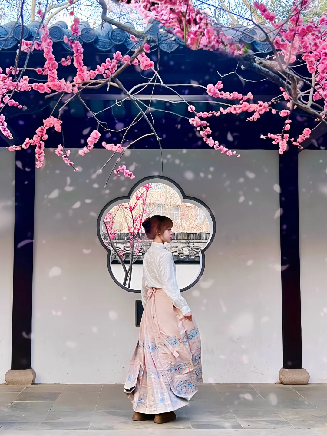 南京｜这个免费赏梅圣地，🌸真的美到窒息…