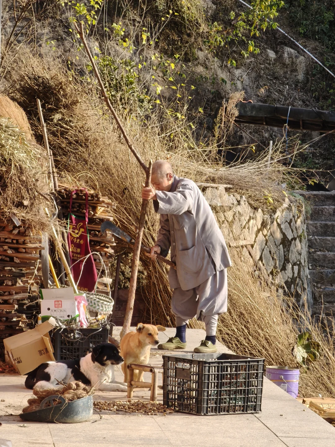 海霖寺｜一座温暖有温度的寺庙