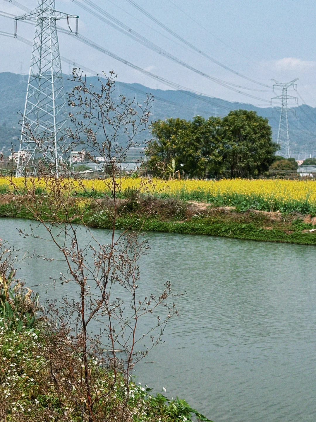 城市里的生态田园