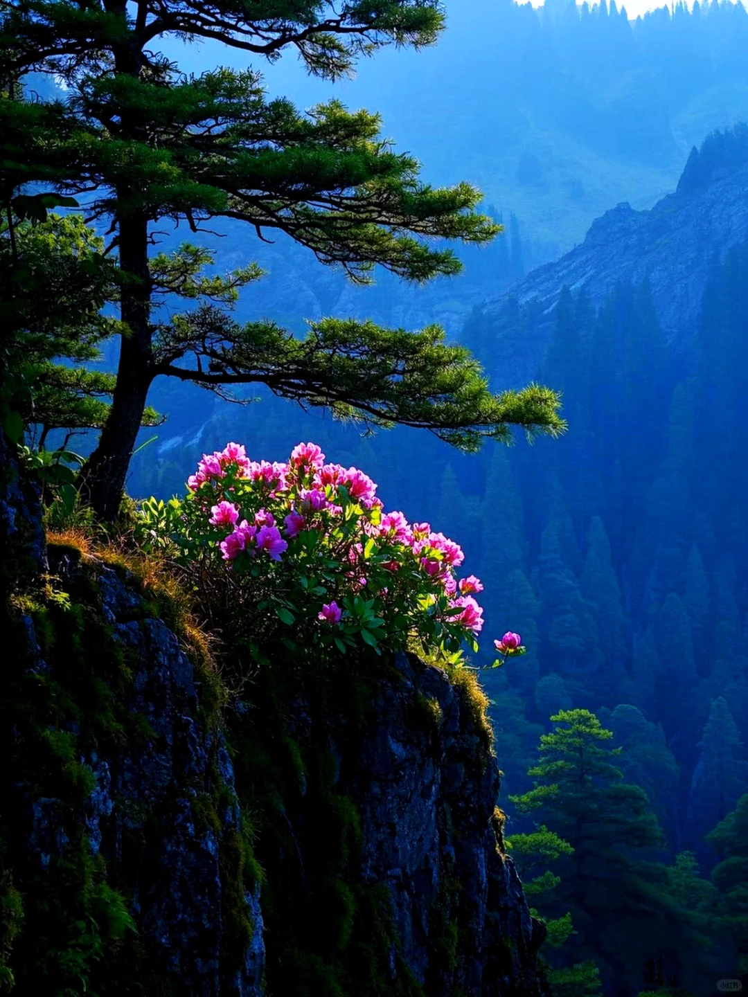 这个地方真的美到窒息❗️❗️❗️