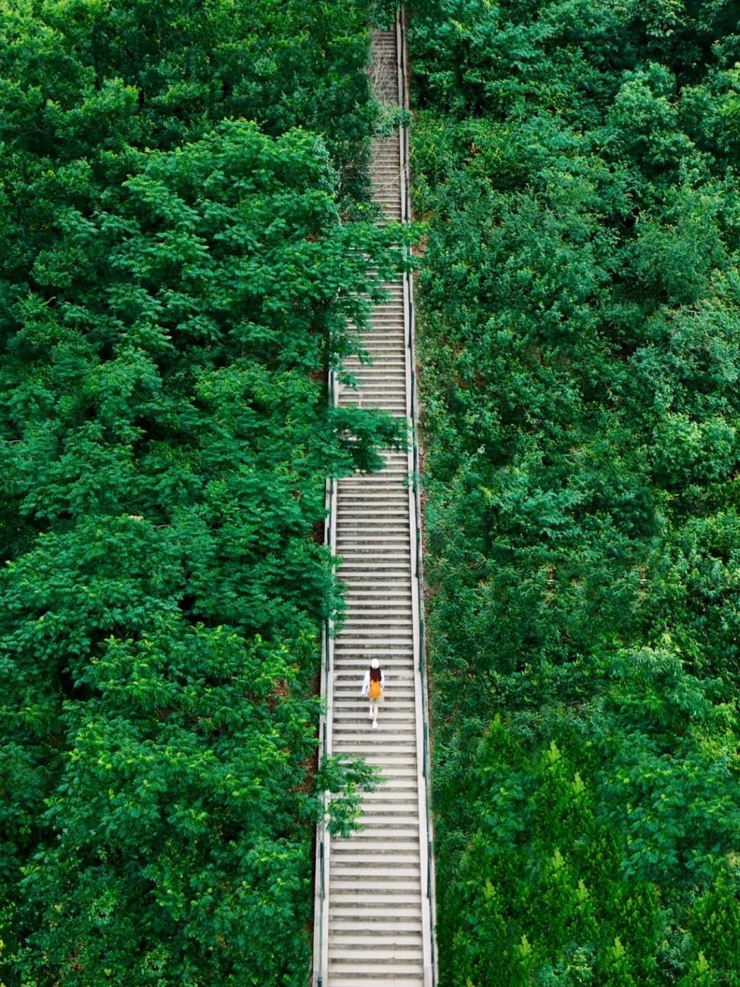 别怀疑！这些真的是武汉！一日游徒步路线㊙️