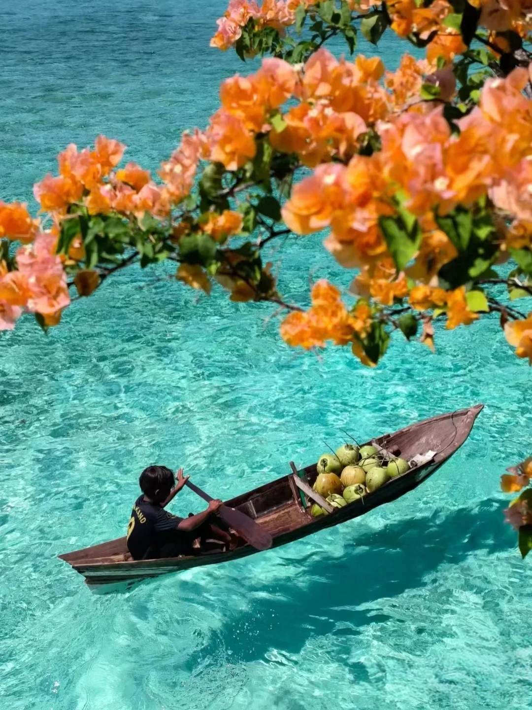 马来西亚，梦幻南洋的多彩召唤