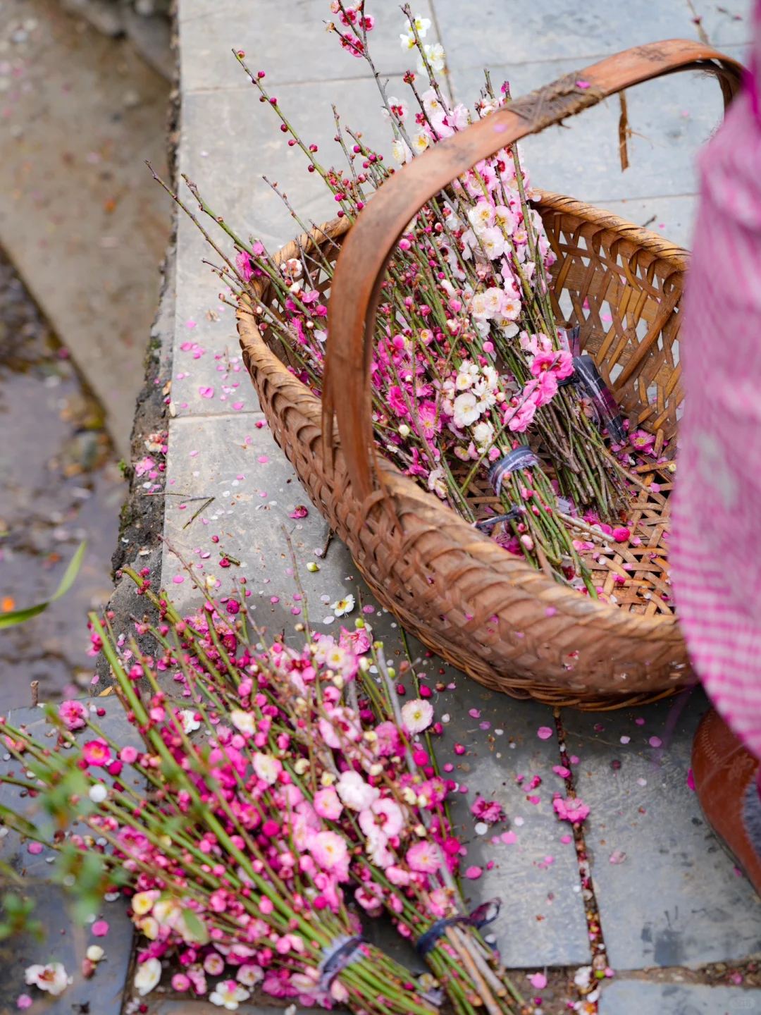原来陶渊明笔下的《桃花源记》是真实存在的！！