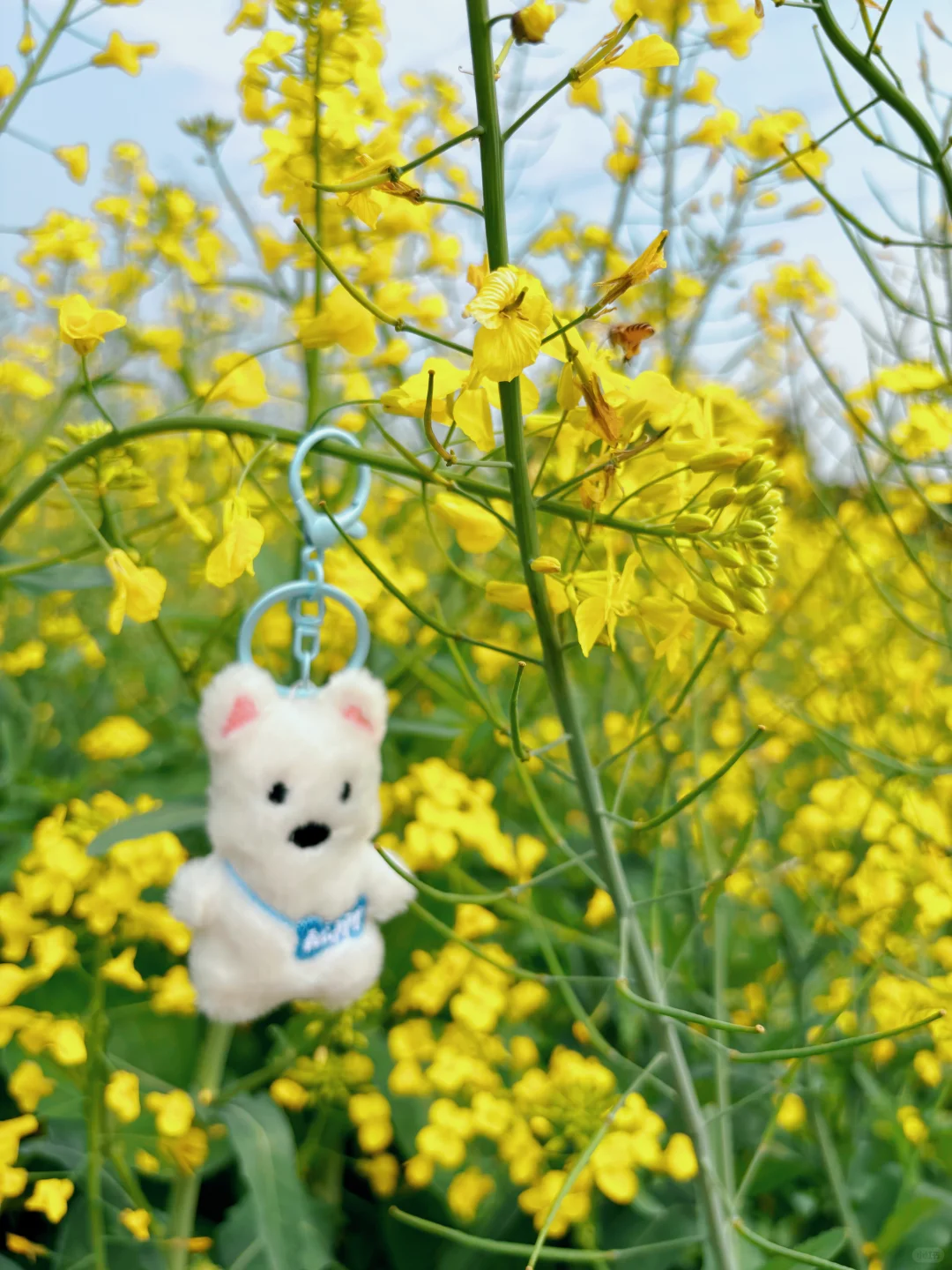 城市里的生态田园