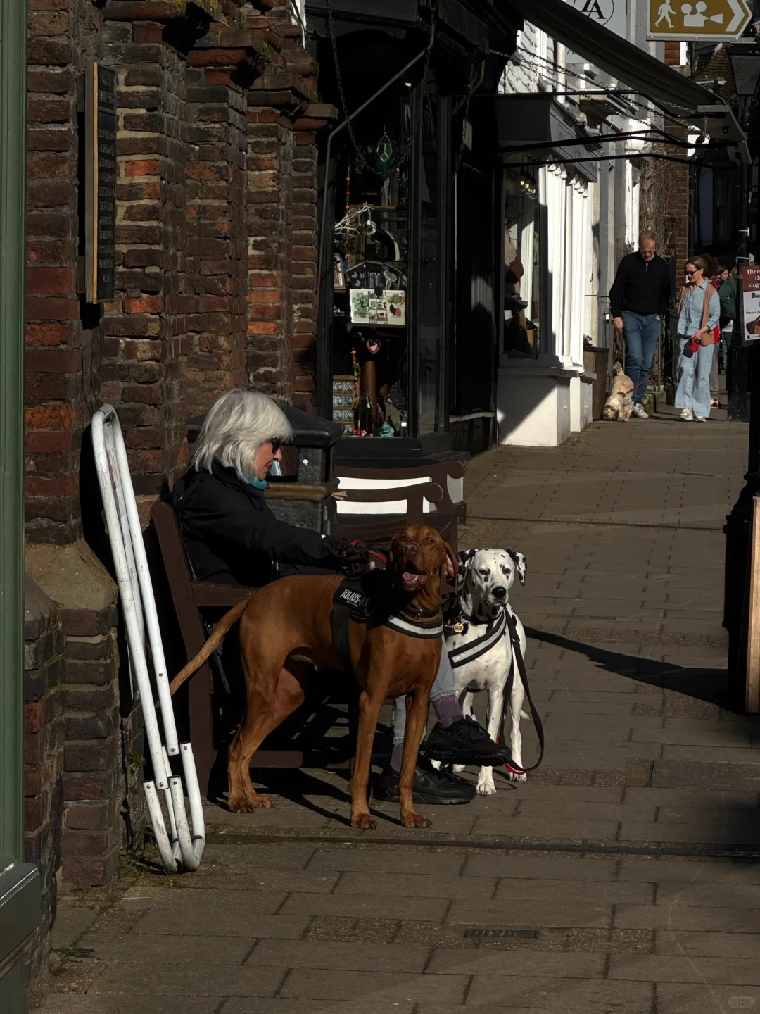 晴天去rye小镇走走