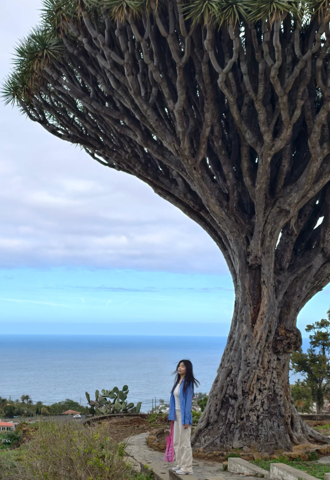 欧洲15天，花费1.4万＋，4个国家7个城市