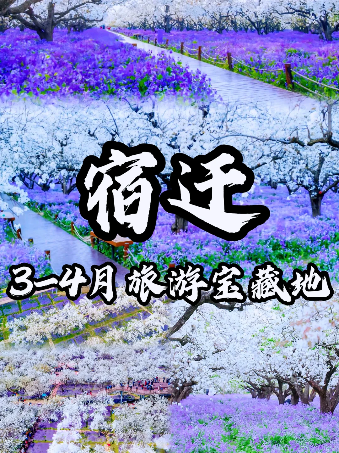 🌈宿迁| 3、4月来真的很香，人少景美！