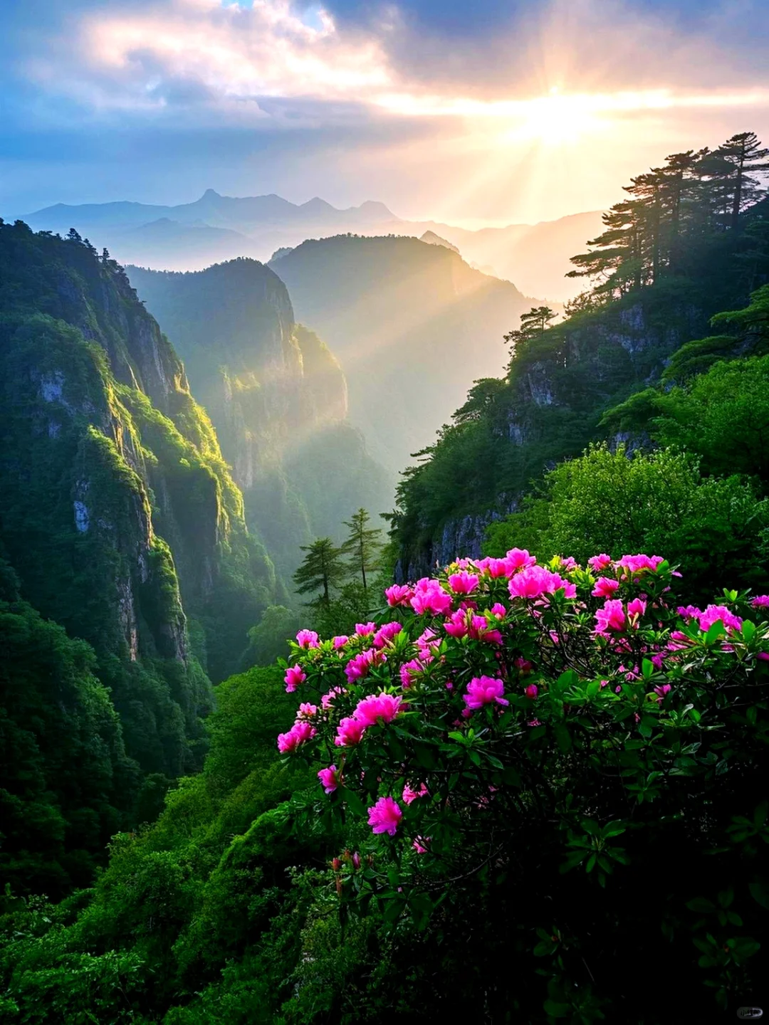 这个地方真的美到窒息❗️❗️❗️