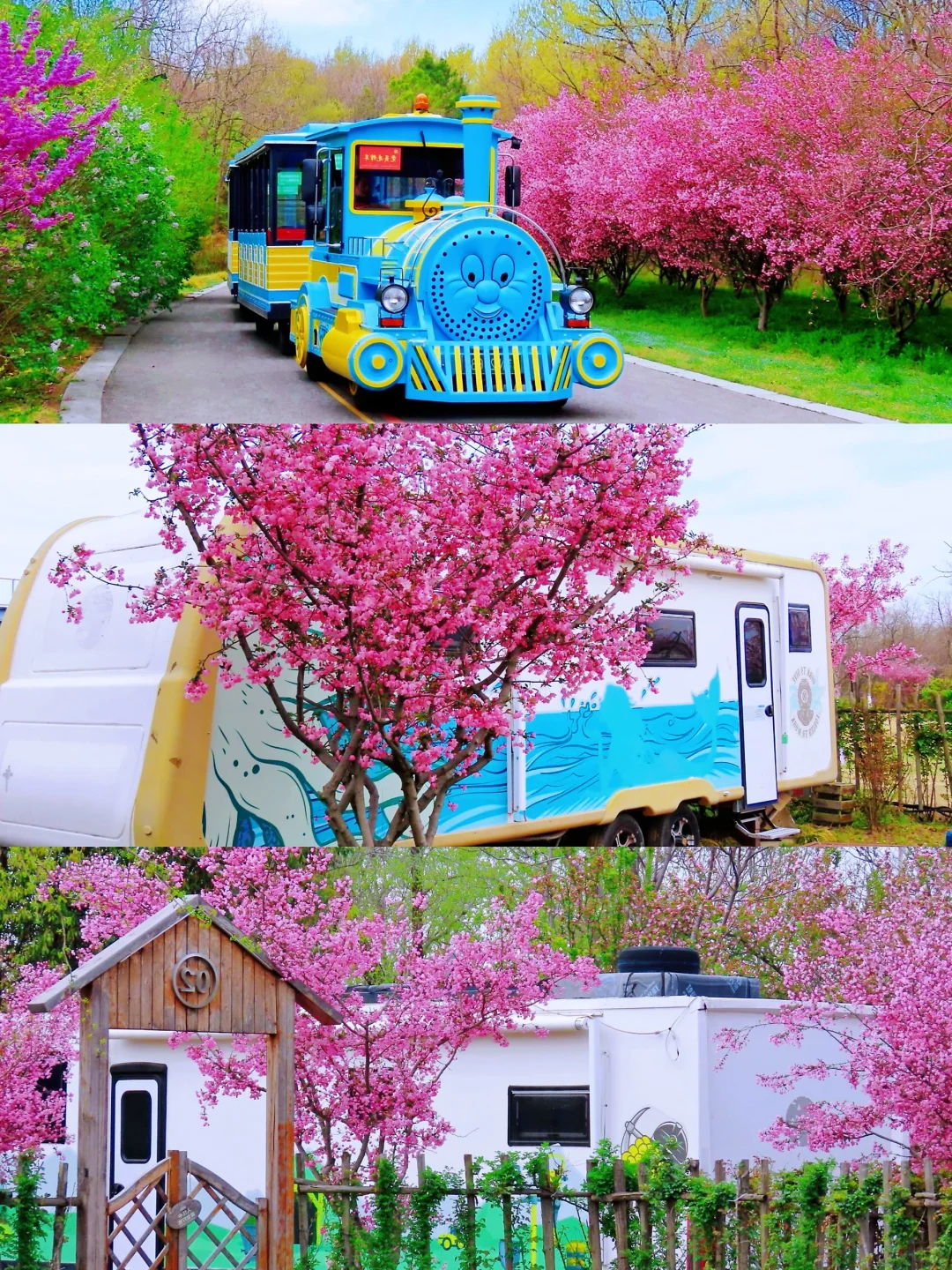 🌈宿迁| 3、4月来真的很香，人少景美！