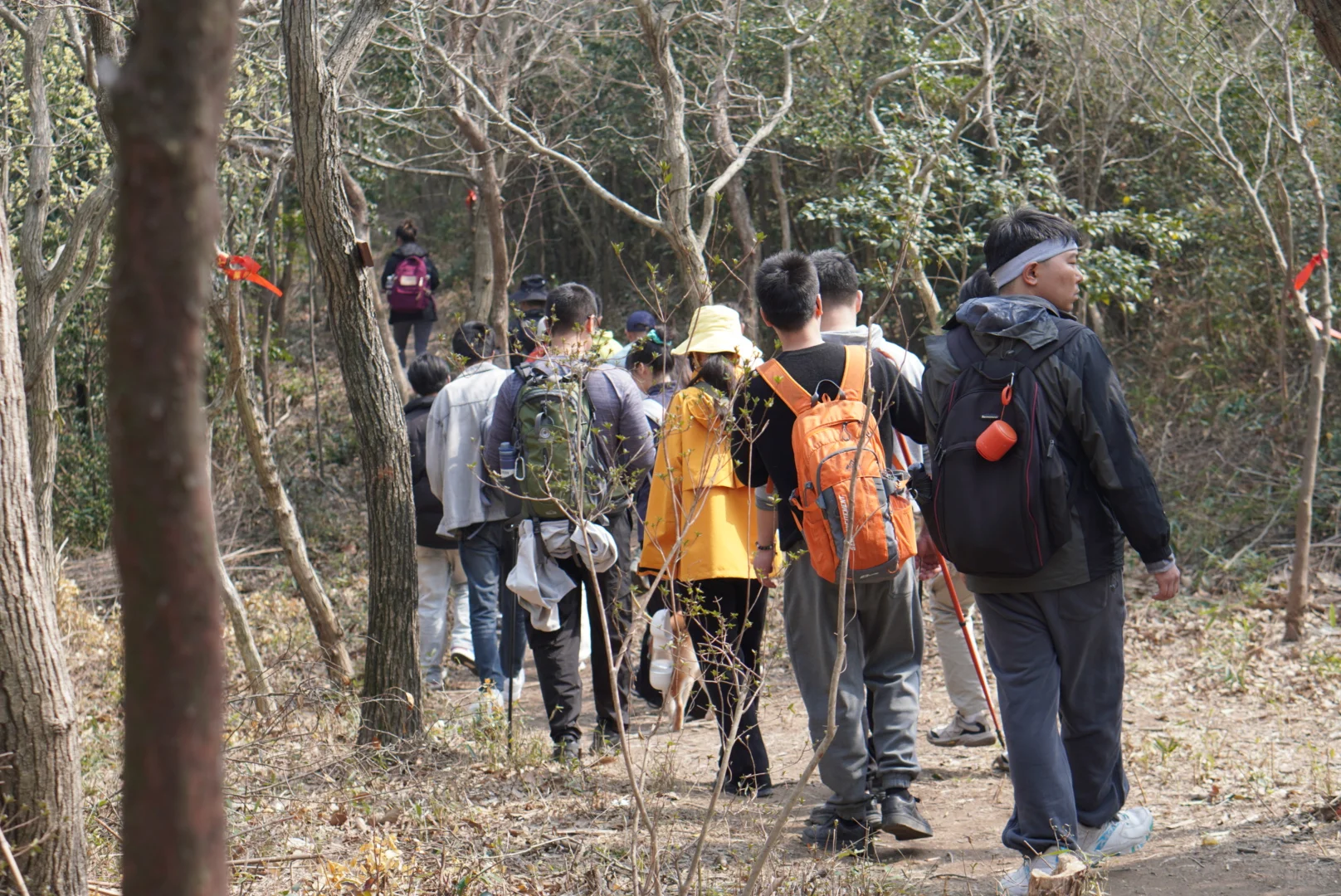 宁波慈溪山顶栲栳山VS山脚鹤鸣古镇