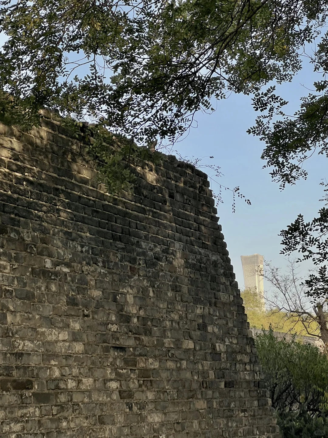 北京📍一个人也可以闲逛的好地方（14/99）