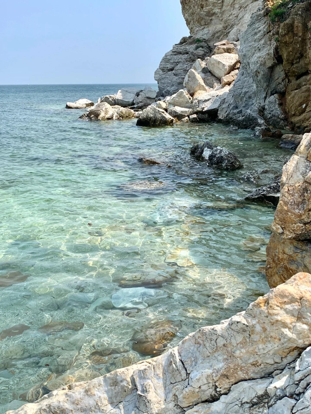 🌊 烟台养马岛 | 4月份一定要来！！！