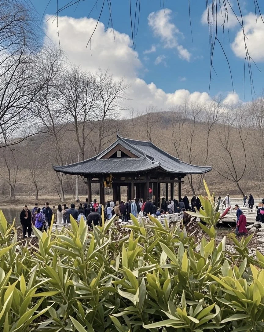 今天西流湖打卡游玩的人太多了，人山人海！