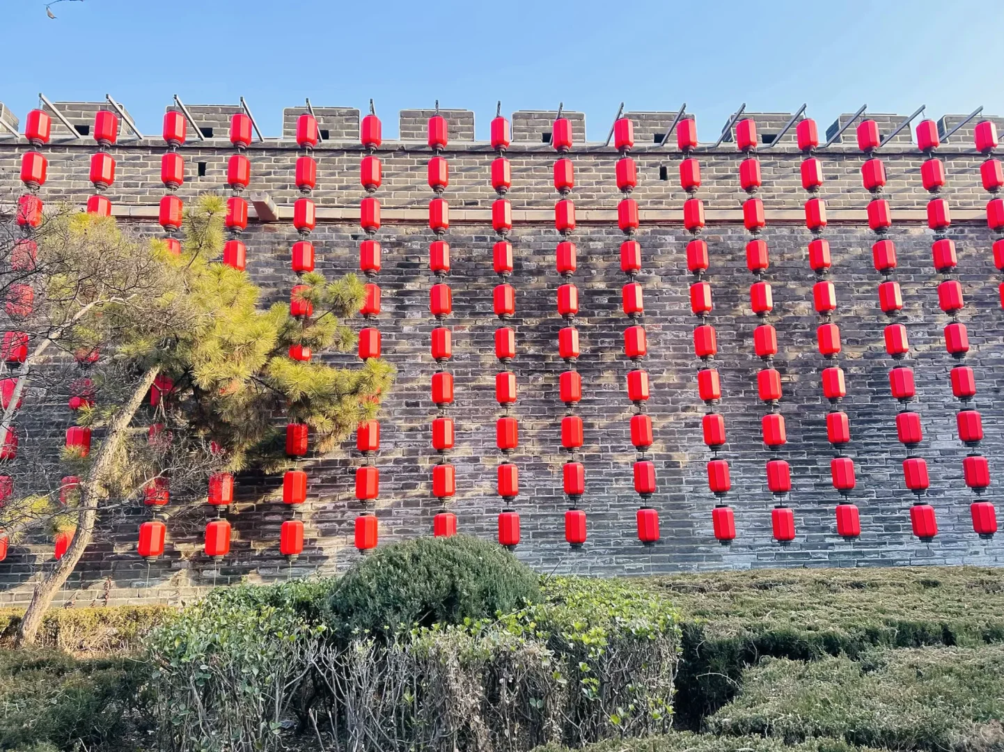 打工人周末旅行🎉第65站📍 山东 曲阜✅