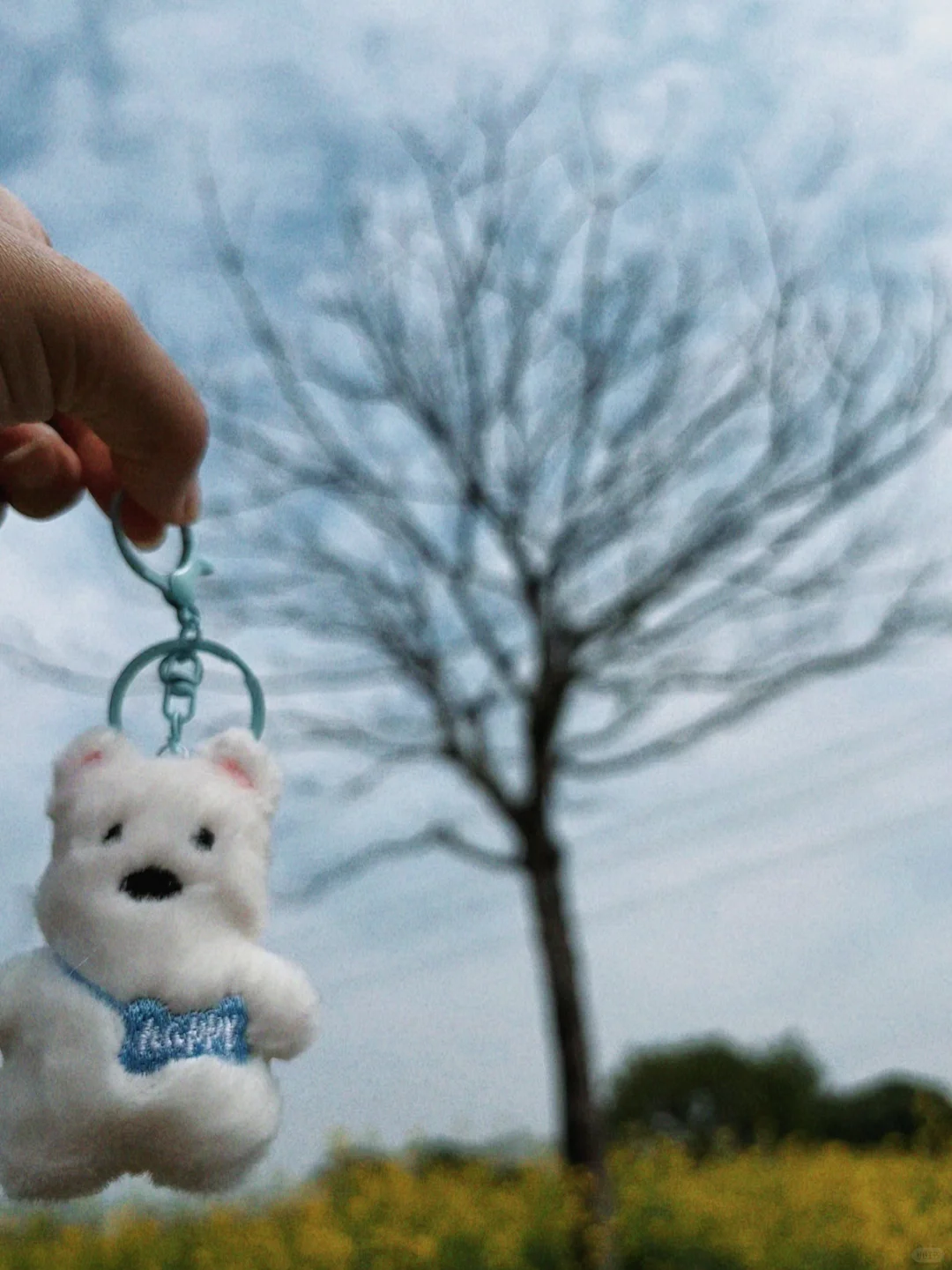 城市里的生态田园