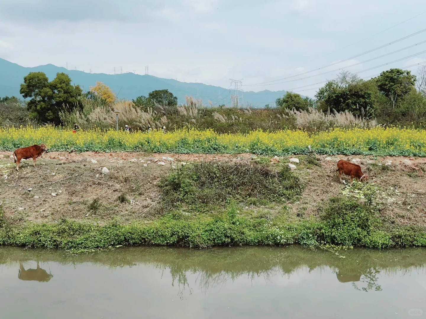 城市里的生态田园