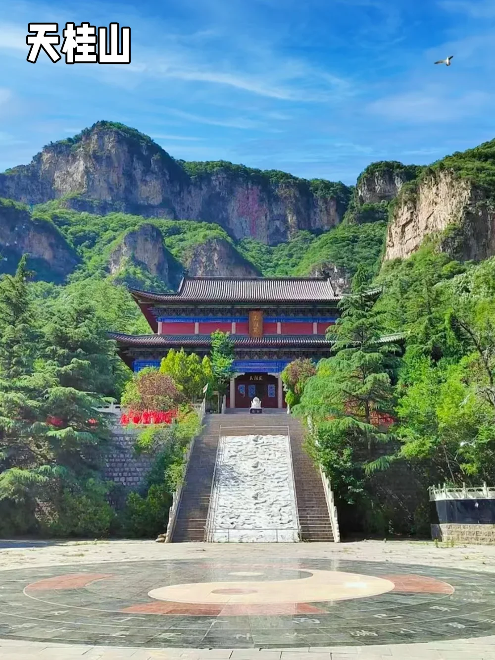 3.8女神节 石家庄景点薅羊毛攻略~超多免费