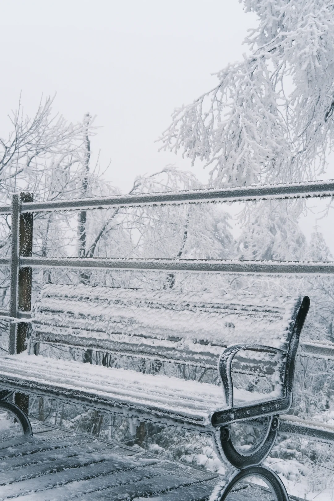 在王岗坪 遇见积雪雾凇～❄️