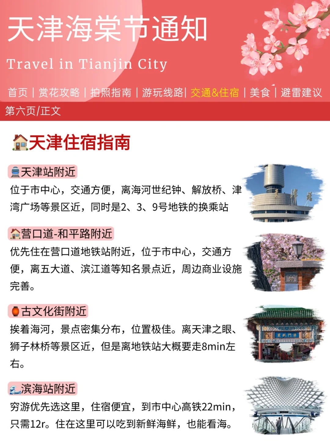 写给3-4月来天津的姐妹👫附超全赏花攻略