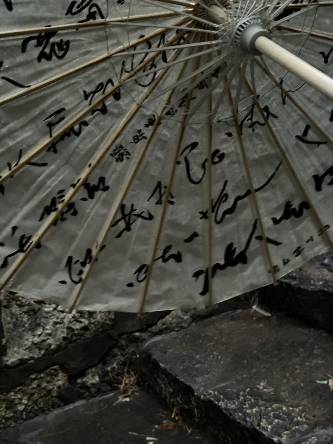 安阳｜洹园 听雨 赏景