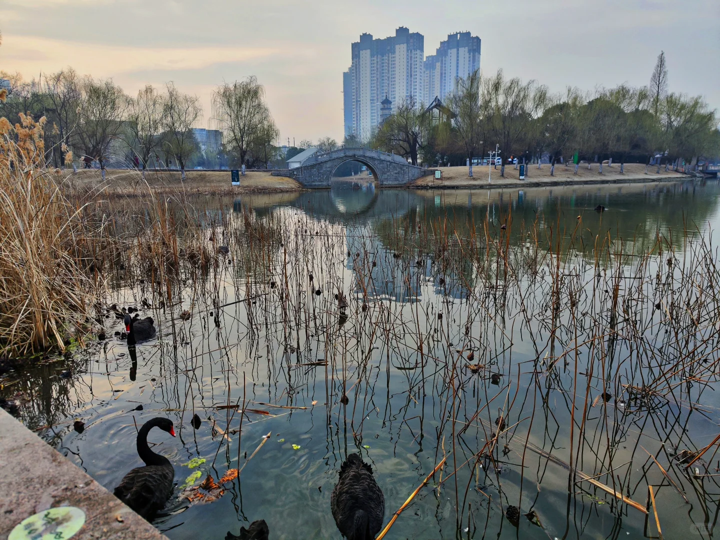 小城阜阳的一些细节—文峰公园，资福禅寺等