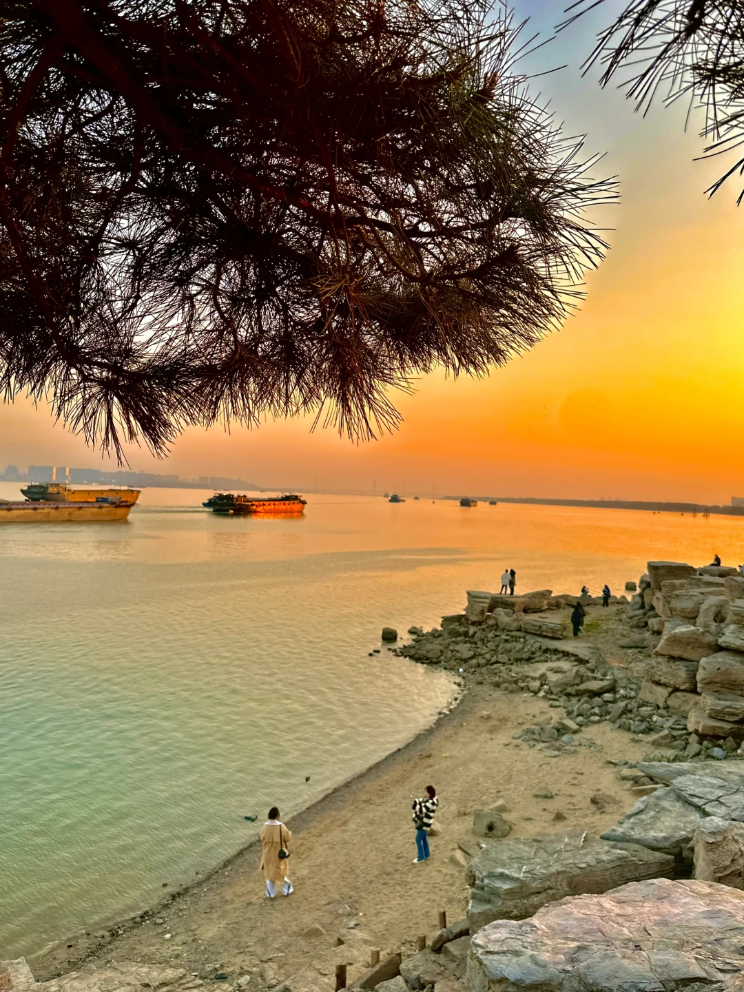 不是济州岛！在南京！……好chill🌊