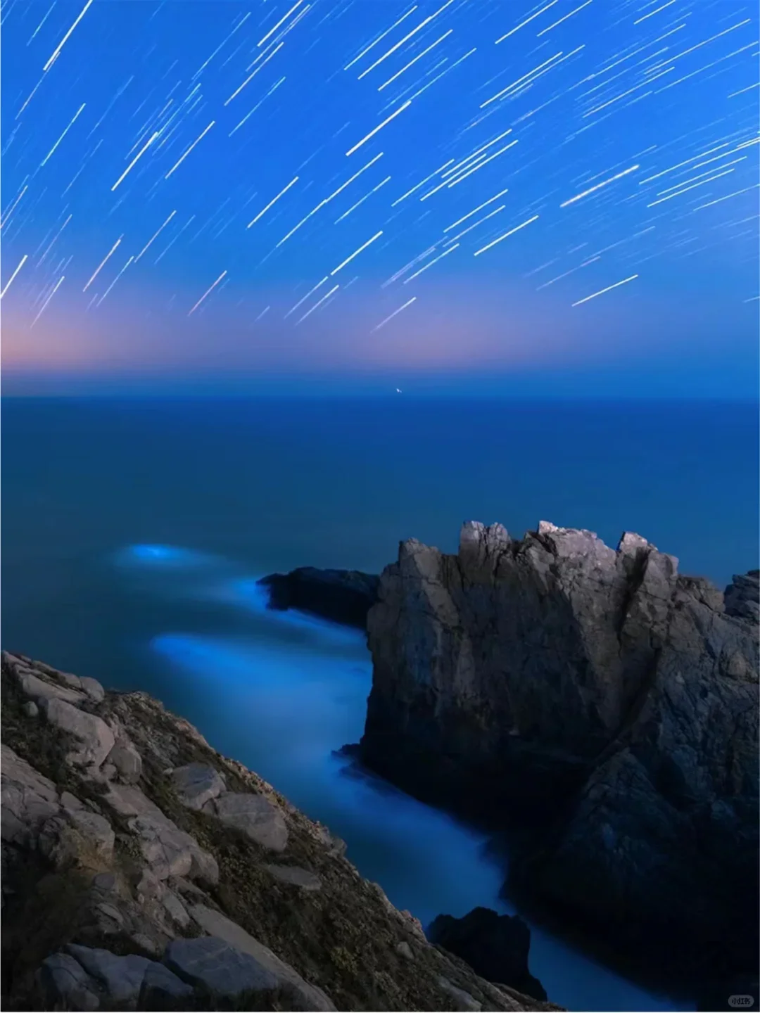 福建平潭首场蓝眼泪💧2025追泪最全攻略！