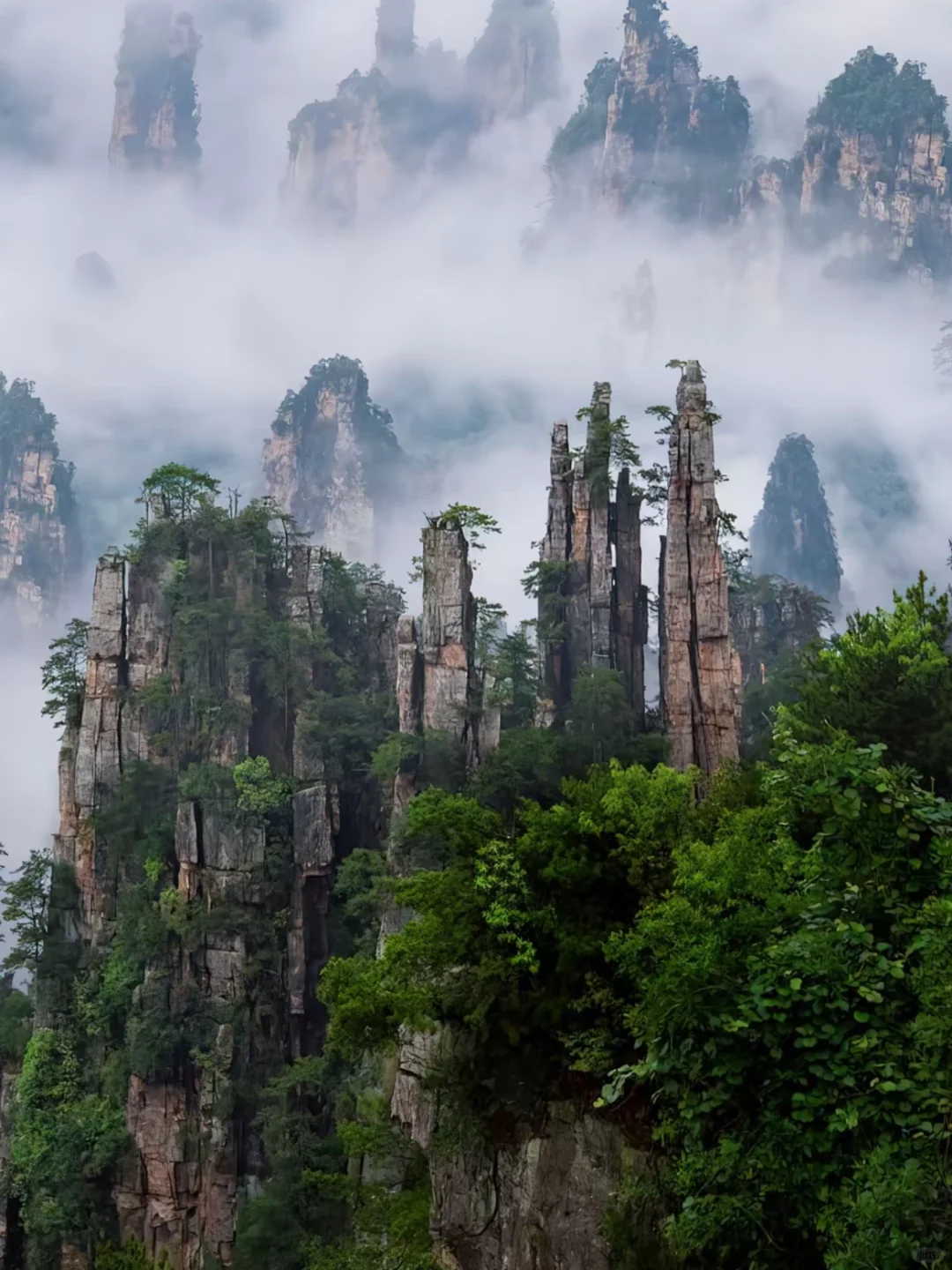 探秘张家界,邂逅世界自然遗产之美🌄