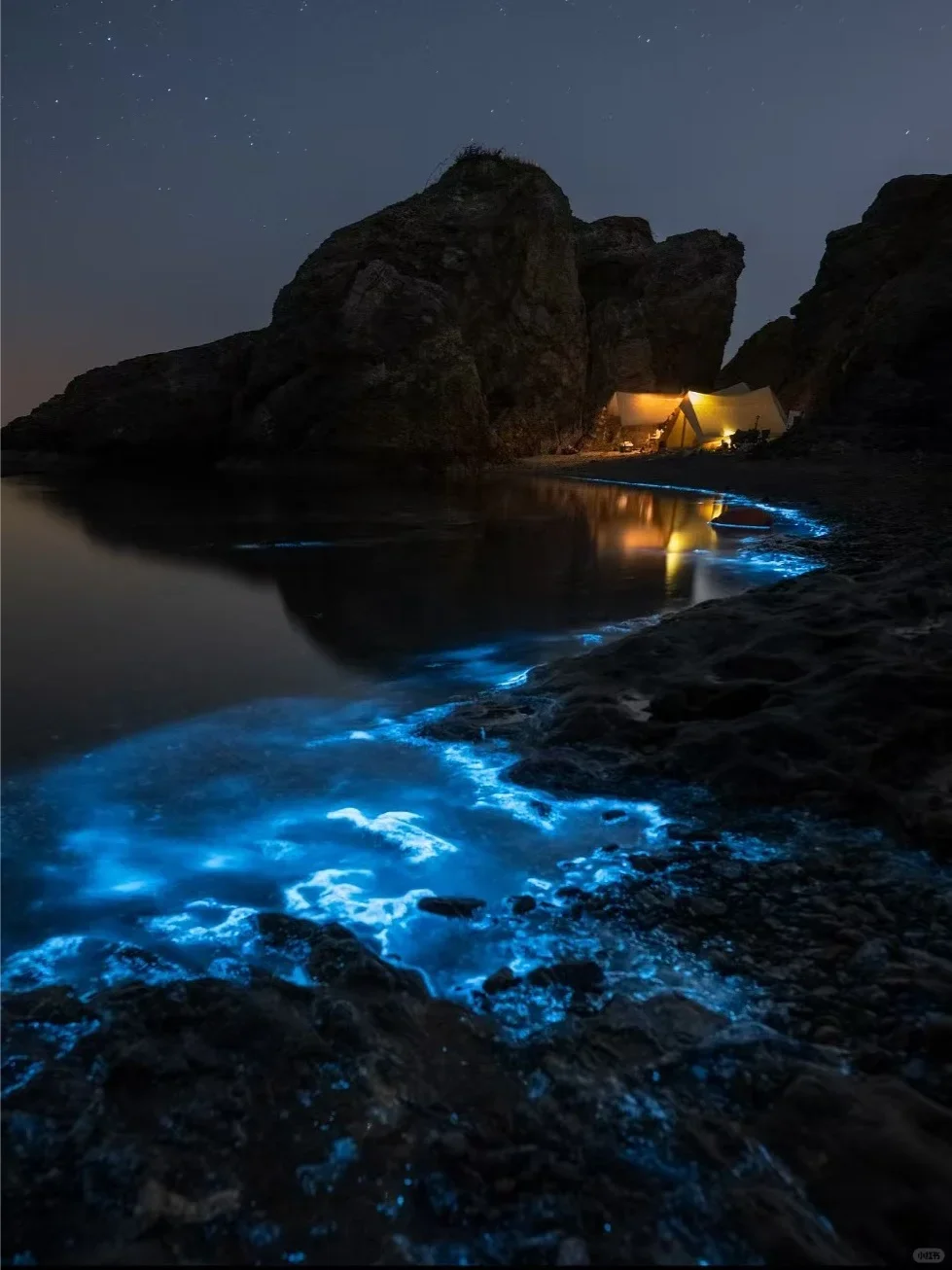 福建平潭首场蓝眼泪💧2025追泪最全攻略！