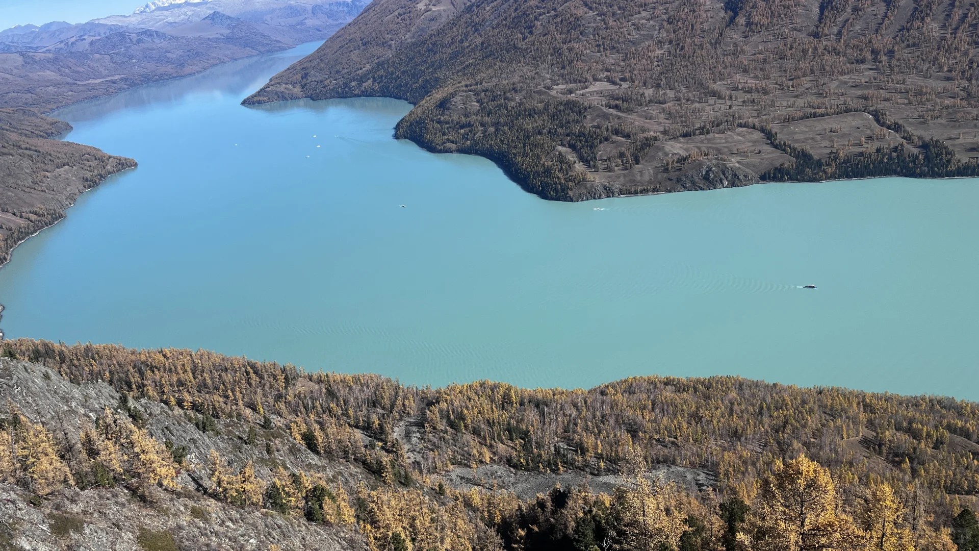 成都出发，寻各地旅游搭子❗❗