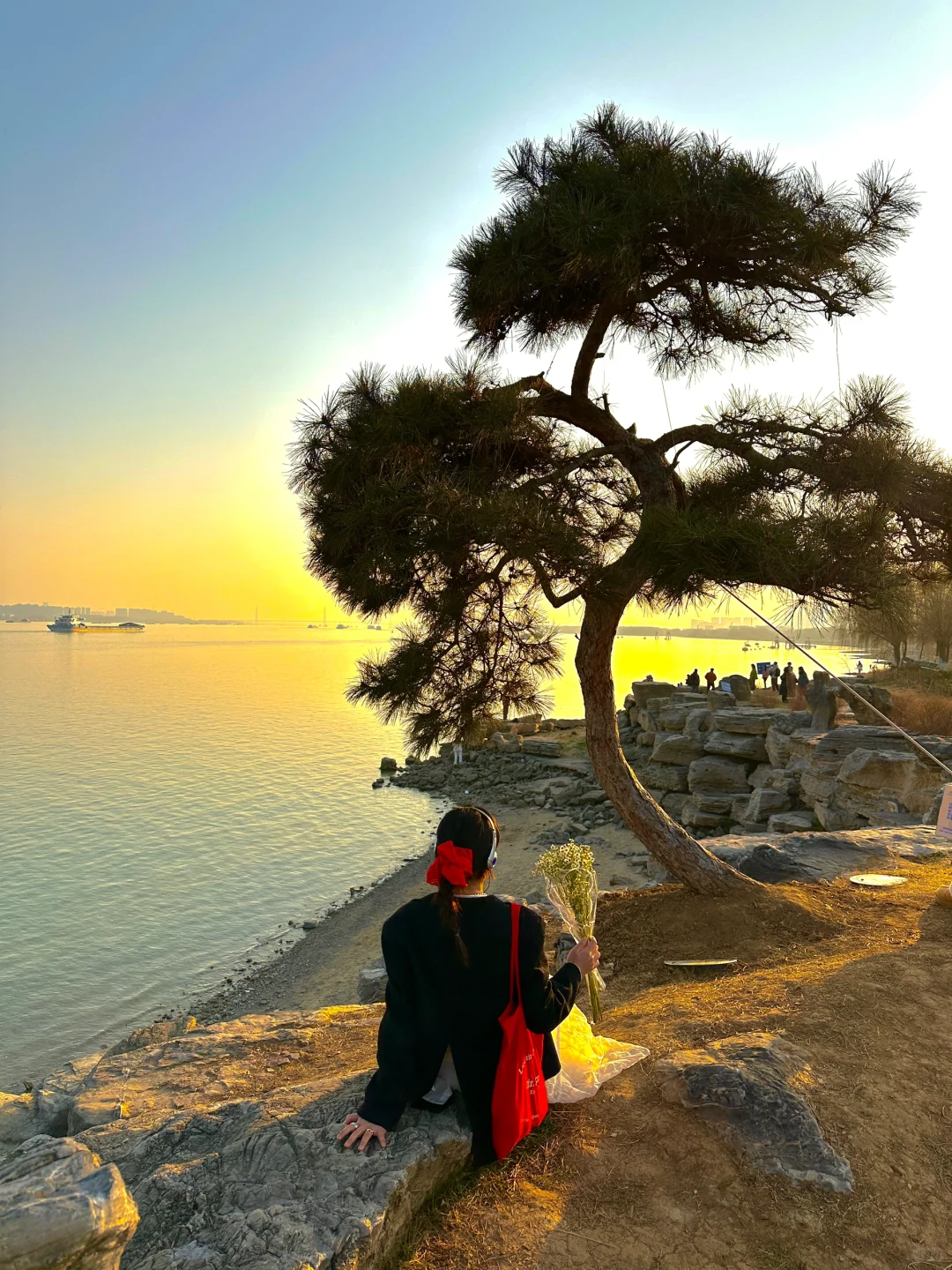 不是济州岛！在南京！……好chill🌊