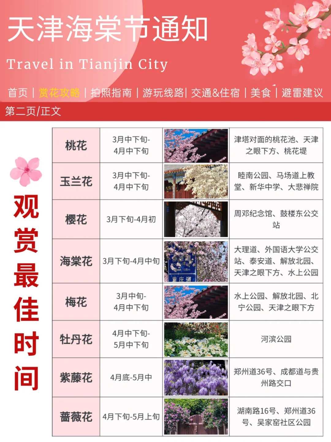 写给3-4月来天津的姐妹👫附超全赏花攻略