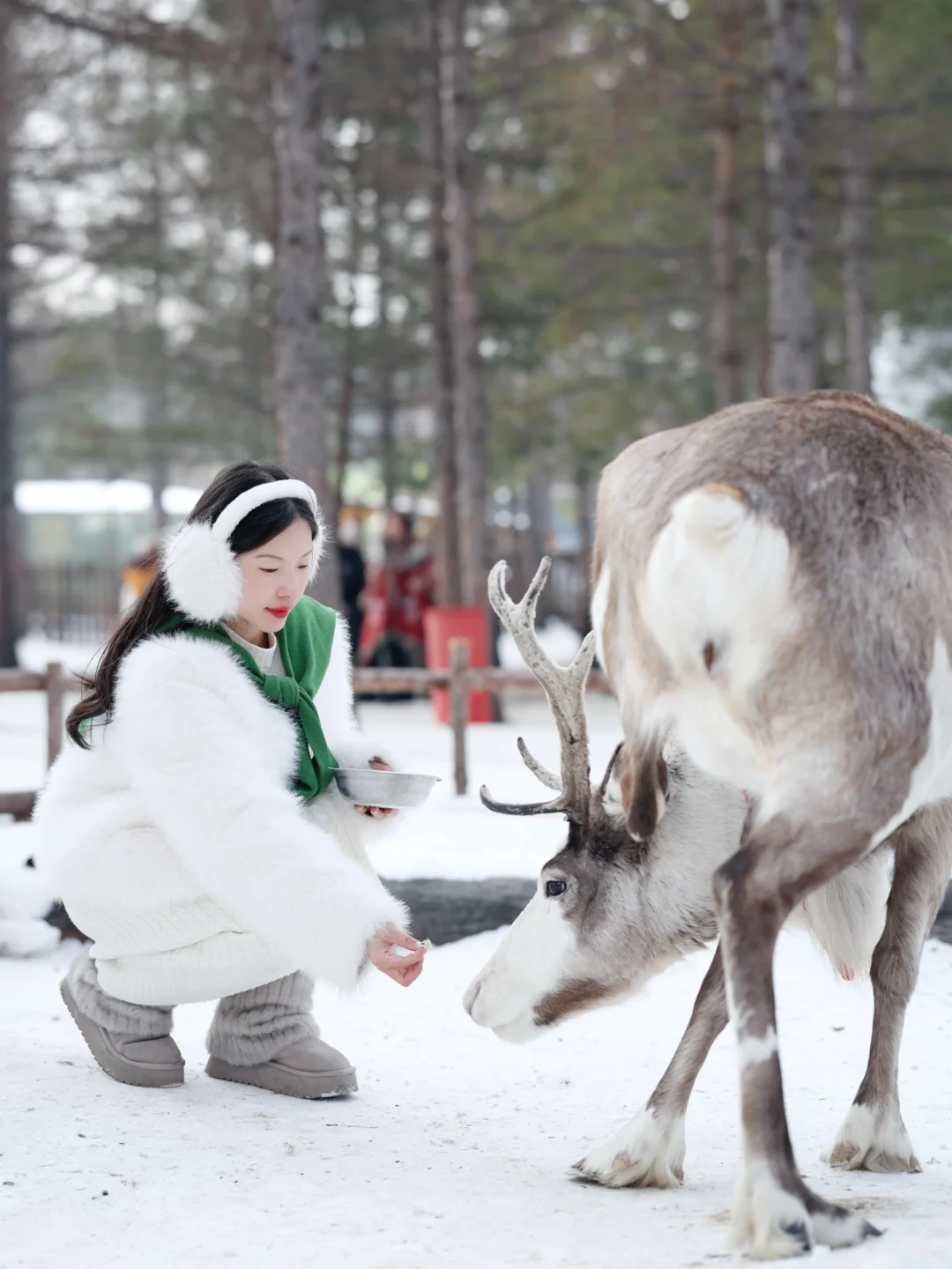 为了这15张照片，✈️飞了趟长白山，值么？