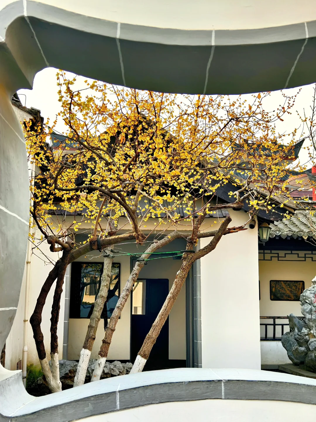 淮安旅行必看❗️周恩来故居纪念馆超全攻略