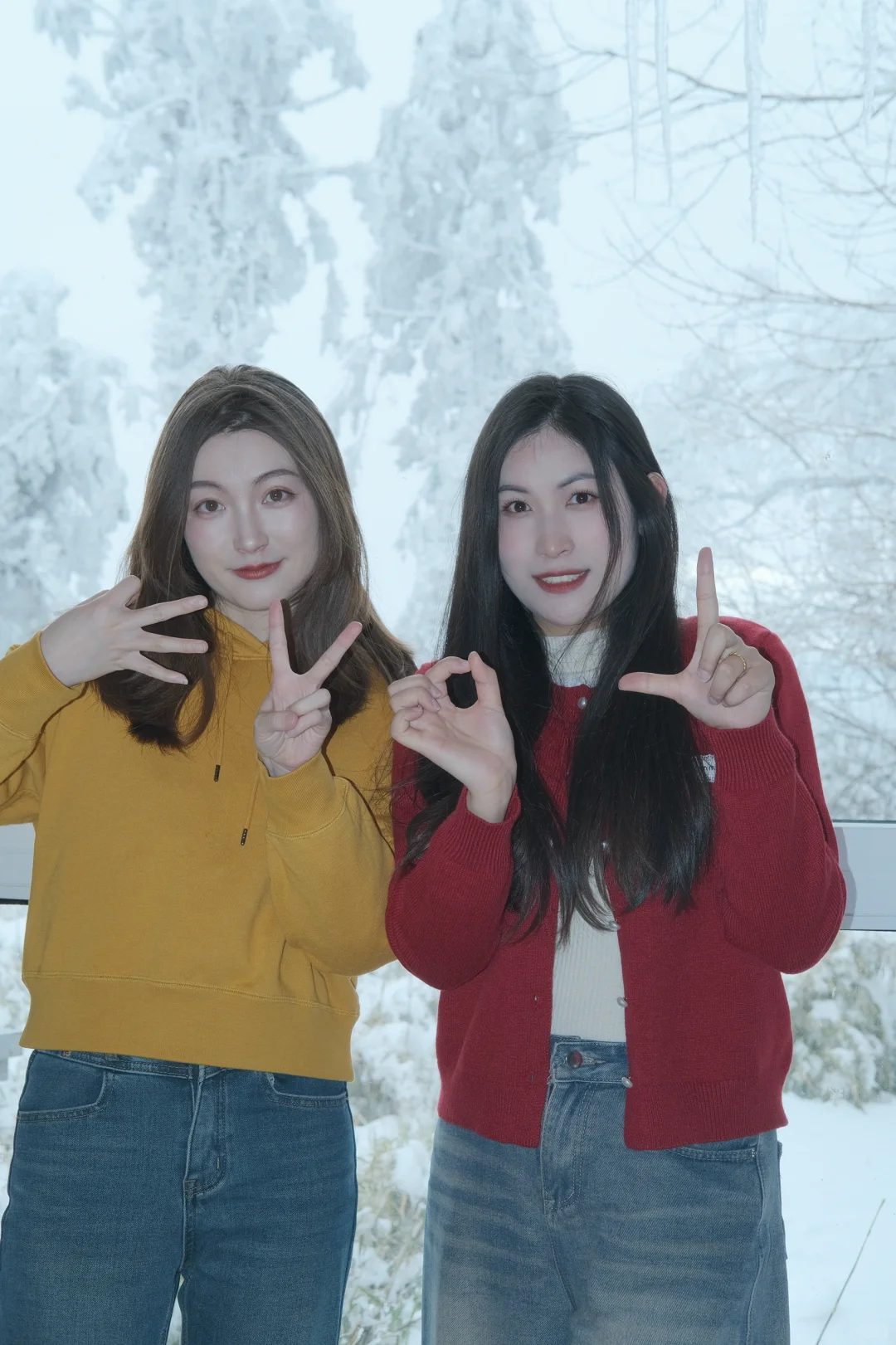 在王岗坪 遇见积雪雾凇～❄️