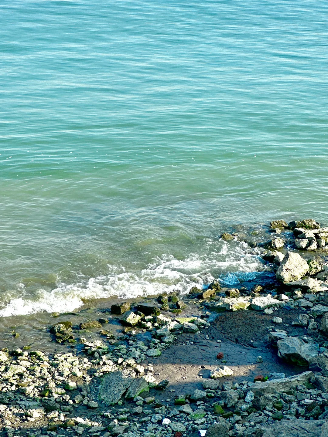不是济州岛！在南京！……好chill🌊