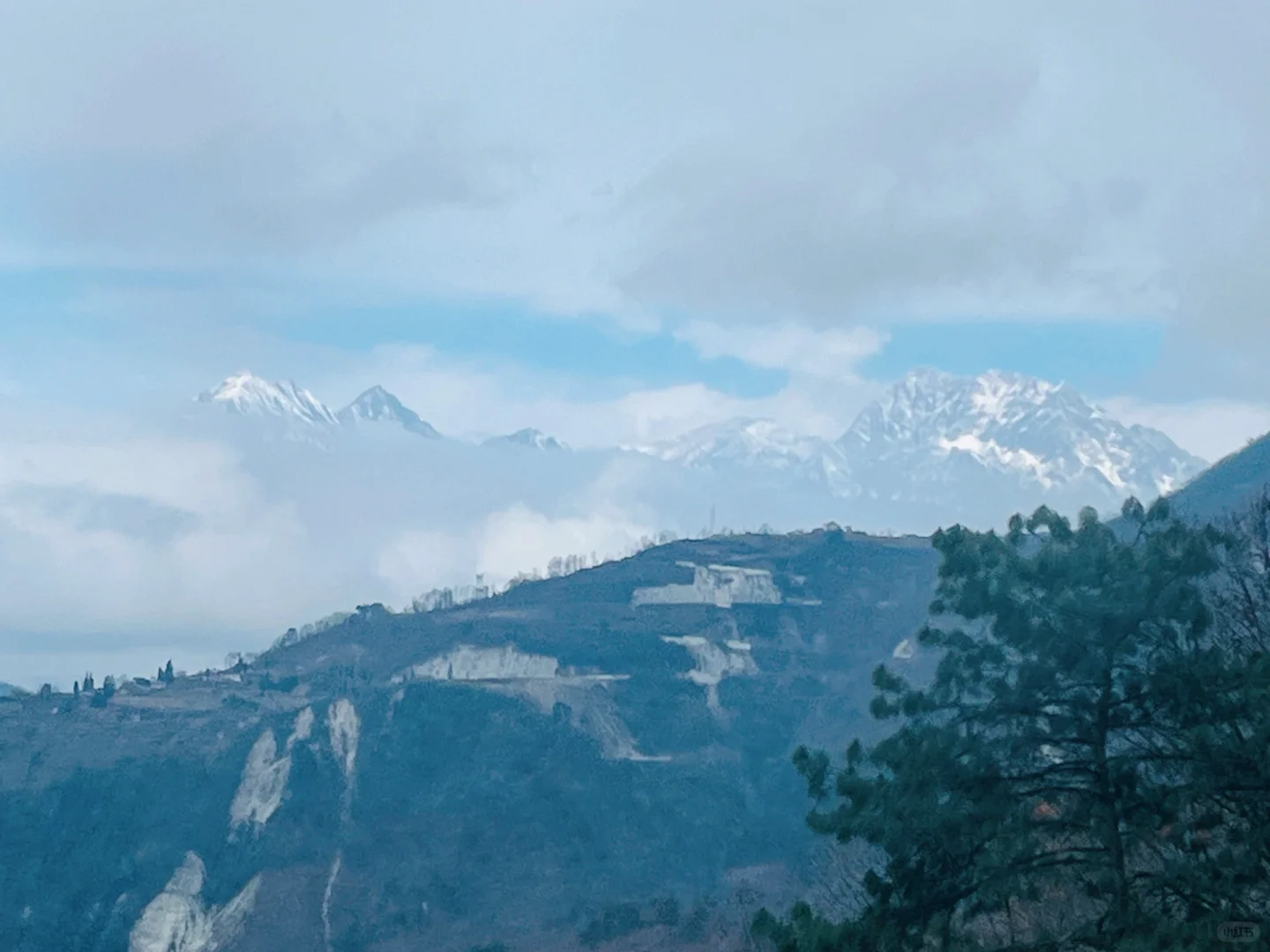 在王岗坪 遇见积雪雾凇～❄️