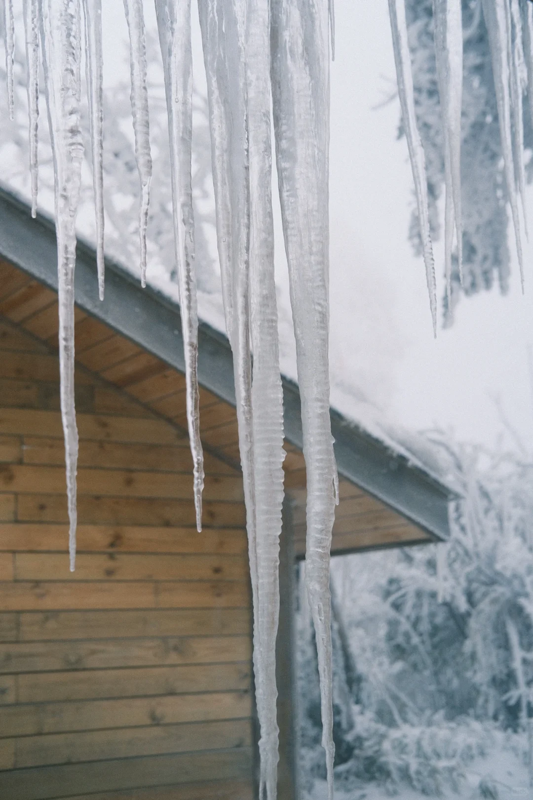在王岗坪 遇见积雪雾凇～❄️