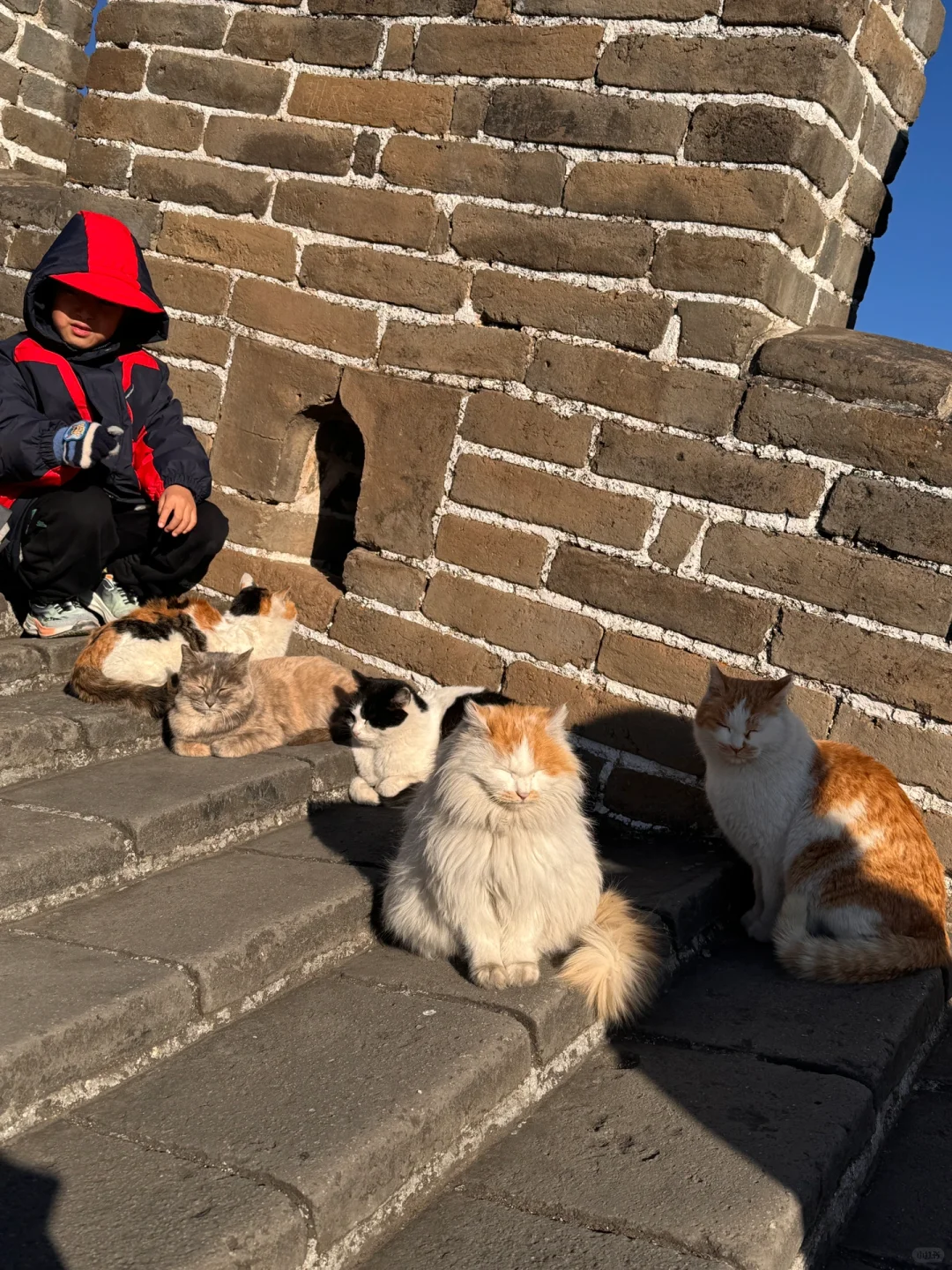 慕田峪长城保姆级攻略 | 附路线指南📖