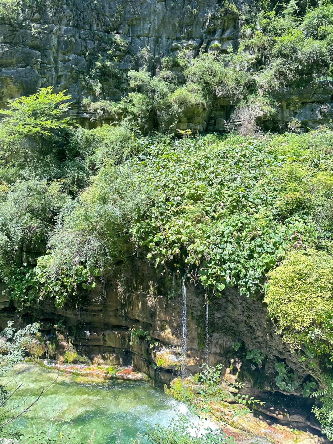 八泉峡很好下次不来了（内有惊喜省钱💰玩法）