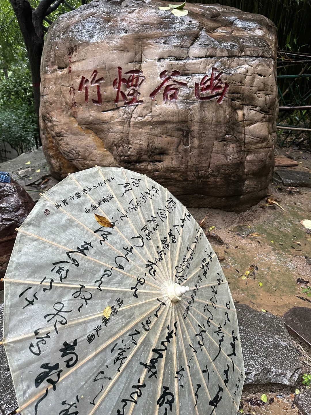 安阳｜洹园 听雨 赏景